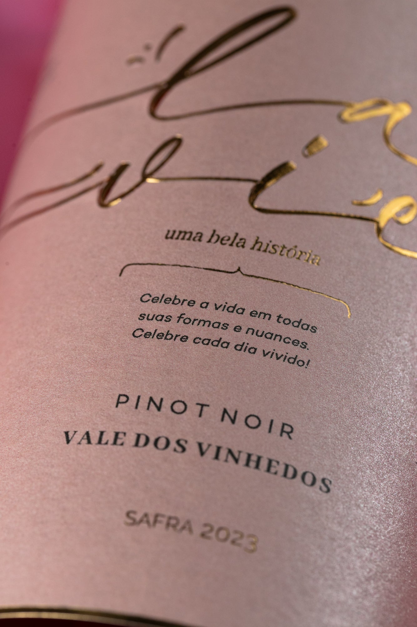Vinho Rose La Vie Pinot Noir - Vinícola Cavalleri