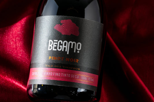 Vinho Tinto Pinot Noir Bégamo - Vinícola Cavalleri