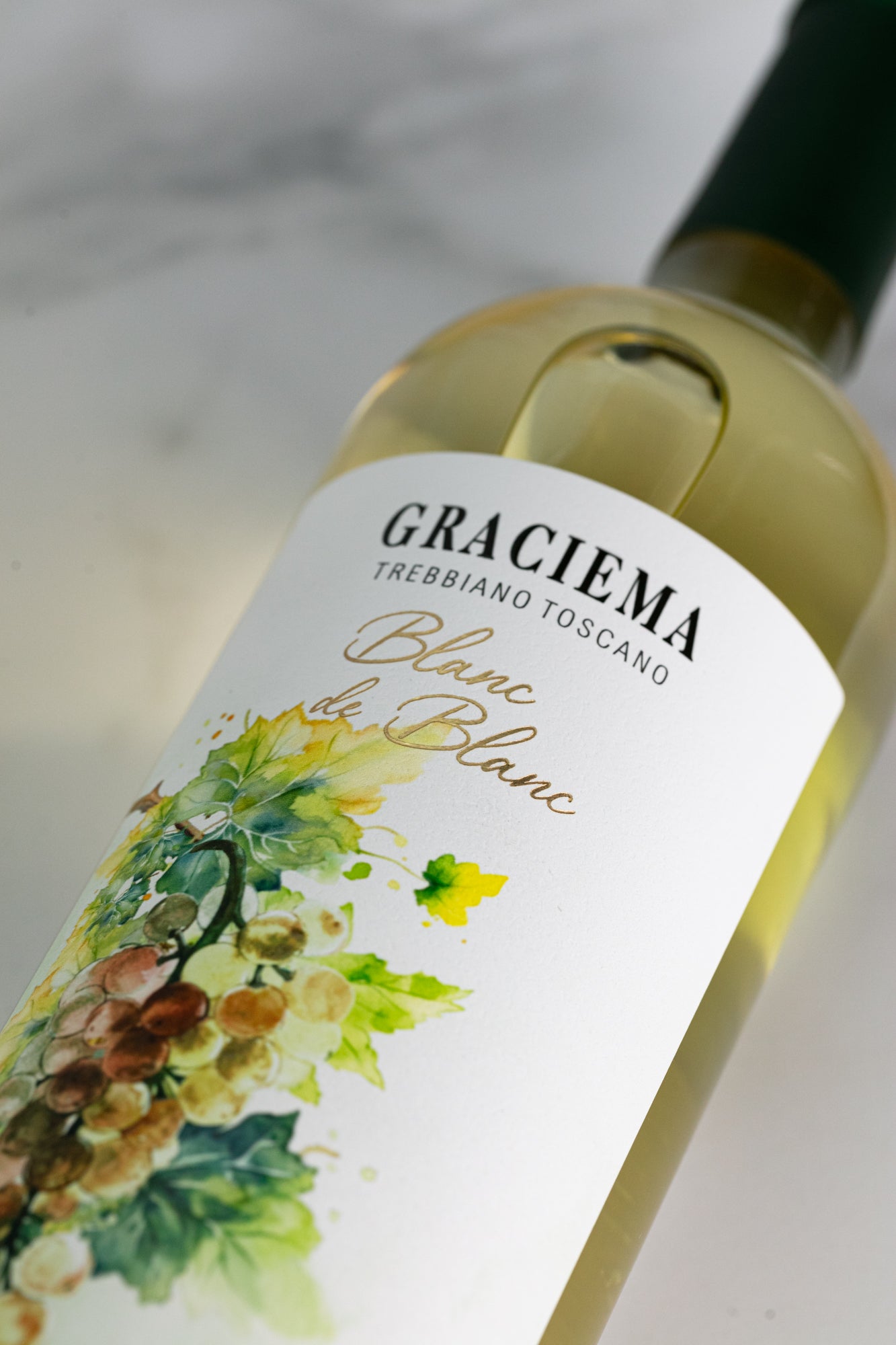 Vinho Branco Trebbiano Toscano Graciema - Vinícola Cavalleri