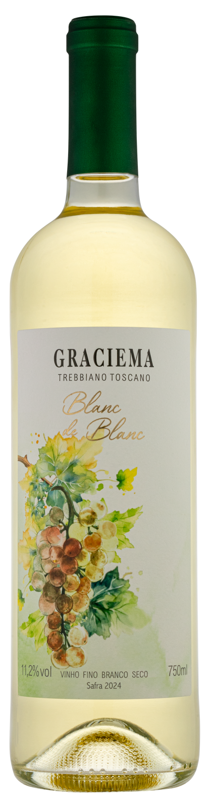 Vinho Branco Trebbiano Toscano Graciema - Vinícola Cavalleri