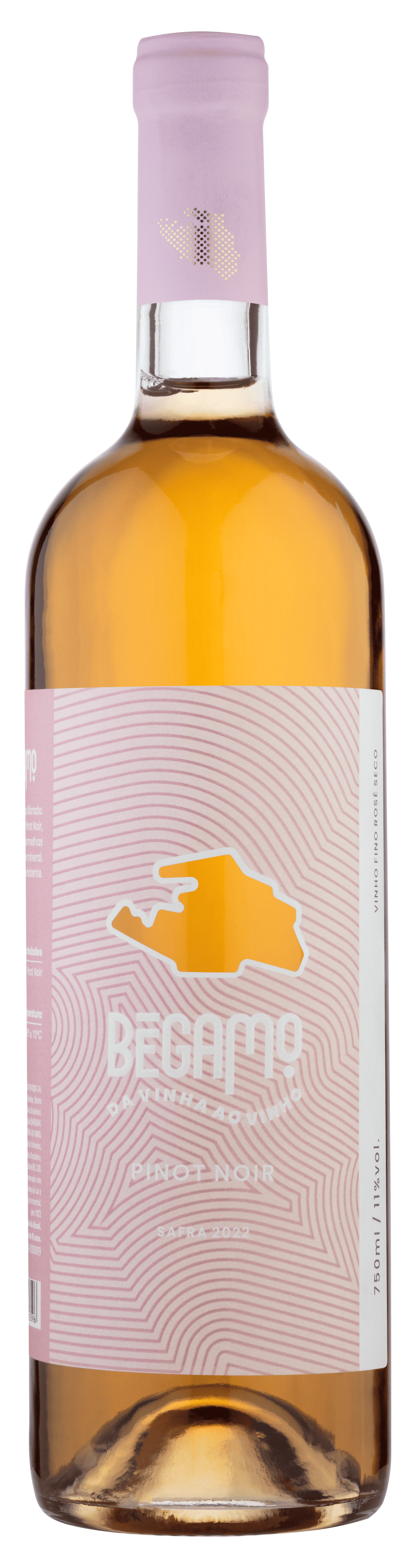 Vinho Rosé Pinot Noir Bégamo - Vinícola Cavalleri