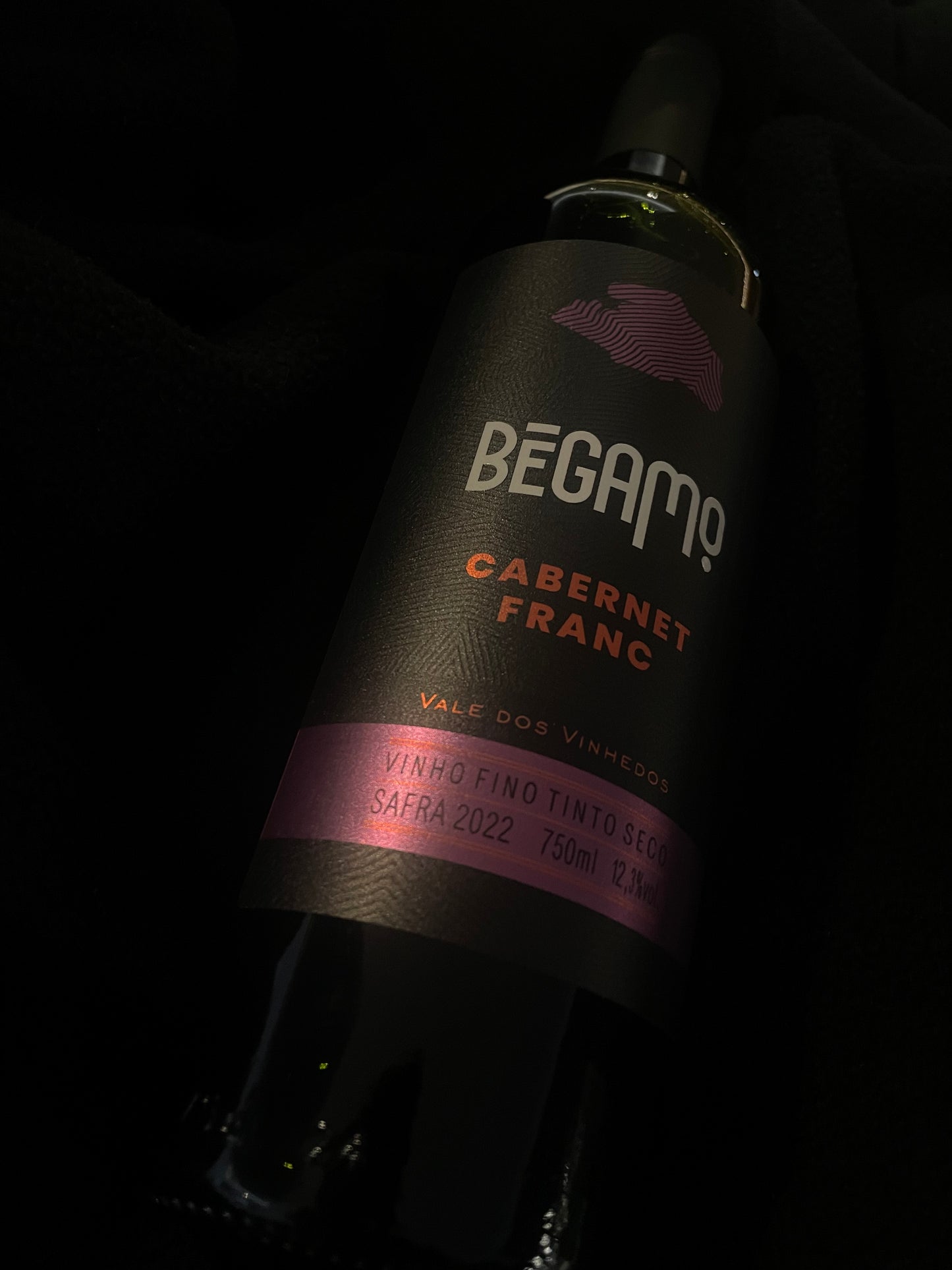 Vinho Tinto Cabernet Franc Bégamo - Vinícola Cavalleri