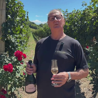 Espumante Brut Rosé - Vinícola Cavalleri