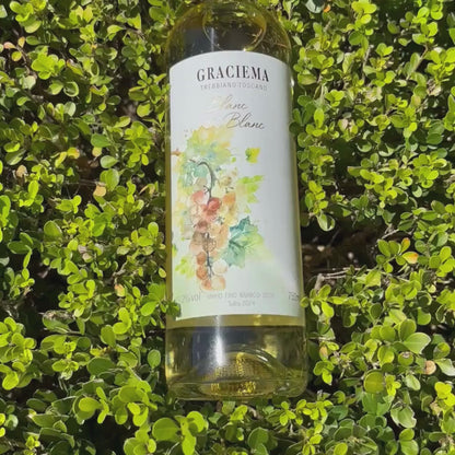 Trebbiano Toscano Graciema White Wine - Cavalleri Winery